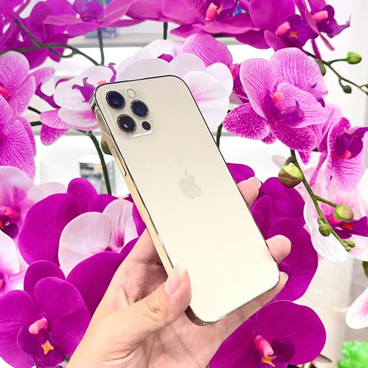 iPhone 15 Pro Max 512GB màu vàng chính hãng tại Kim Anh Mobile Đà Nẵng